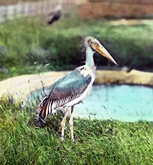 Besuch im Zoo