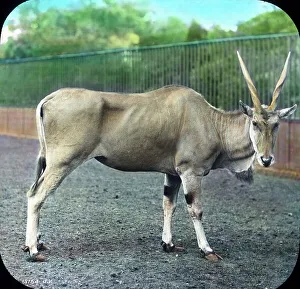 Besuch im Zoo