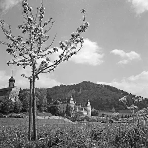 Obere Donau Prints: Beuron