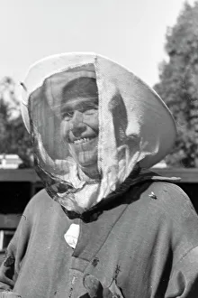 Bee Sting Prints: Bienengift