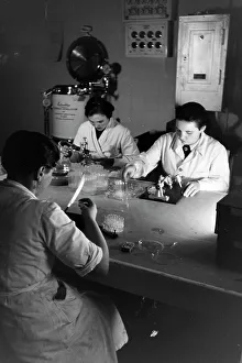 Bee Sting Prints: Bienengift