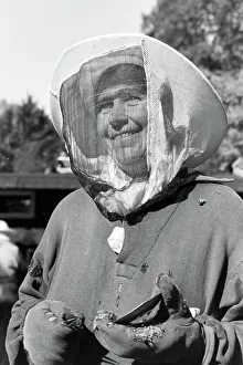 Bee Sting Prints: Bienengift
