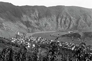 Mosel