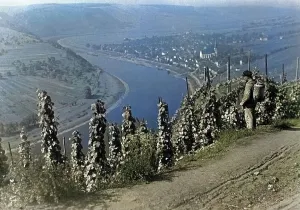 Kröv