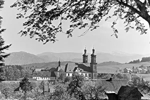 Little Town Prints: Blüte