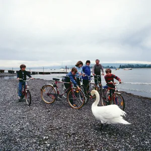 Bodensee