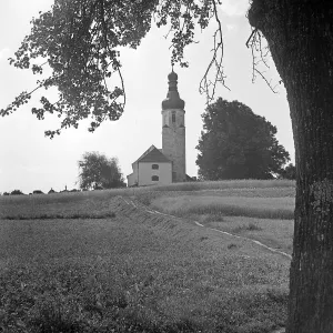 Böhmerwald