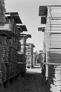 Warehouse Stampe: Bergviken See