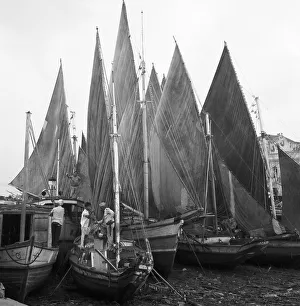 Belem Prints: Brasilien