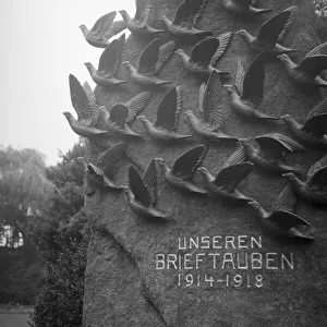Brieftauben