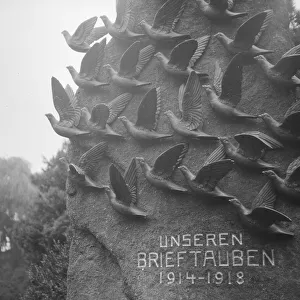 Brieftauben