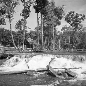 Hanna Seidel Imprime: Catarata en Tarumã, Brasil 1966.