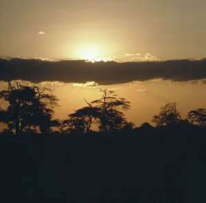 Ceylon