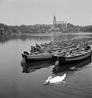 Birds Prints: Chemnitz
