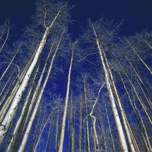 Colorado