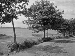 Allee Prints: Danzig