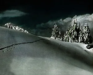 Tirol