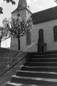Rhine Impressions: Deidesheim (Weinstraße), Hambach (Weinstraße)