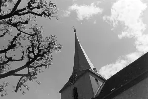 Rhine Prints: Deidesheim (Weinstraße), Hambach (Weinstraße)