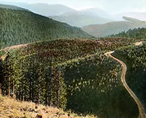 Der Harz
