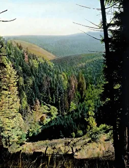 Der Harz