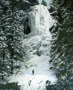 Der Harz