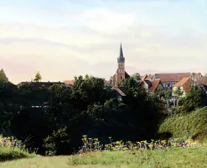 Der Harz