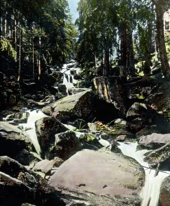Formation Prints: Der Harz