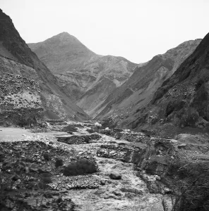Typically Prints: Peru