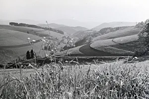 Donau Prints: Donautal bei Wildenstein
