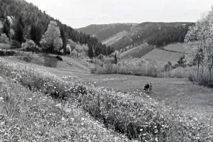 Donautal bei Wildenstein
