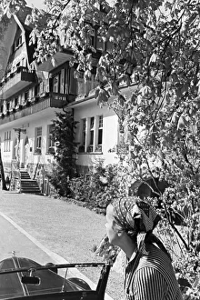 Donau Prints: Donautal bei Wildenstein
