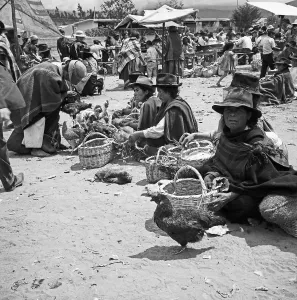 Selling Prints: Ecuador