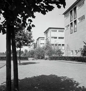 Rhine Stampe: Köln