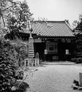 Japanese Stampe: Japan