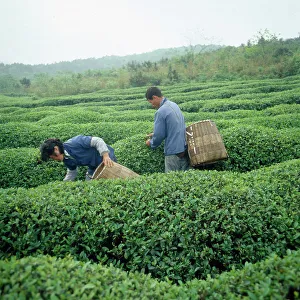 China