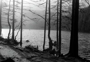 Shore Prints: Erich Andres in Bayern