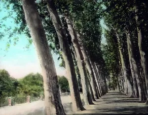 Allee Impressions: Spanien - Land und Leute