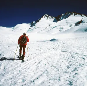 Rauschel Drucke: Fechterhörner