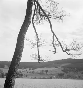Ferien im Südschwarzwald
