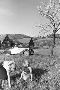 Autocar Stampe: Ford Eifel