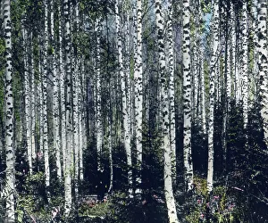 Finnland