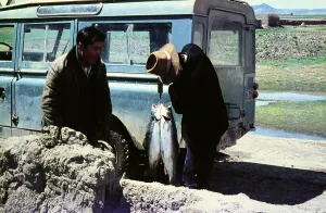 Peru
