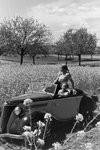 Ford Eifel