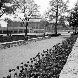 Blumenbeet Impressions: Frankfurt am Main