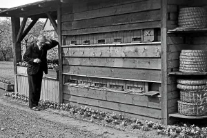 Sowjetsche Besatzungszone Impressions: Frankfurt / Oder