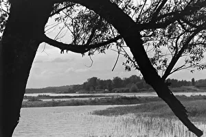 Visitation Prints: Frankfurt/Oder