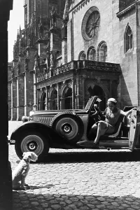Terrier Prints: Freiburg im Breisgau