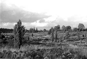07 1955 Prints: Germany
