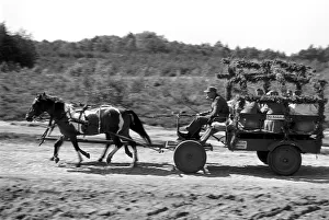 07 1955 Prints: Germany